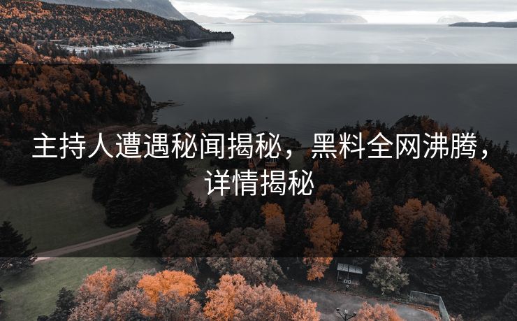 主持人遭遇秘闻揭秘，黑料全网沸腾，详情揭秘