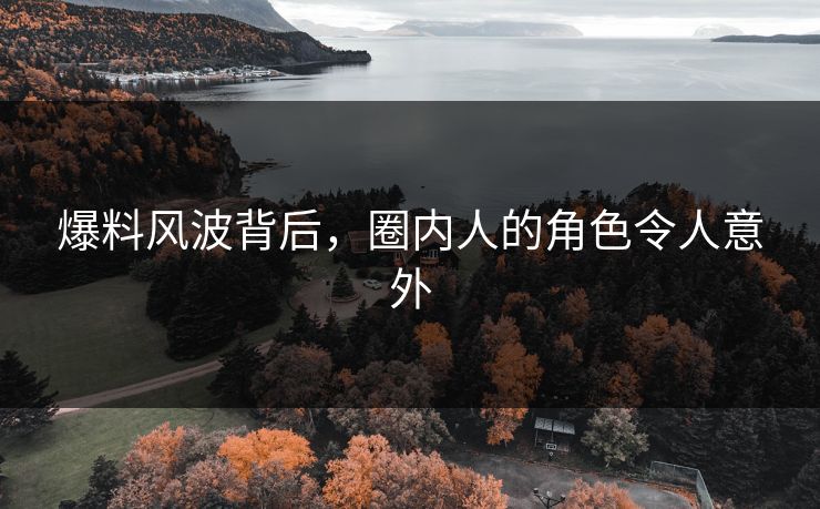 爆料风波背后，圈内人的角色令人意外