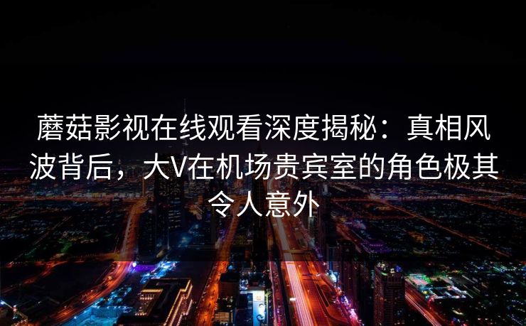 蘑菇影视在线观看深度揭秘：真相风波背后，大V在机场贵宾室的角色极其令人意外