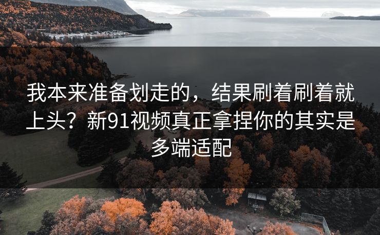 我本来准备划走的，结果刷着刷着就上头？新91视频真正拿捏你的其实是多端适配